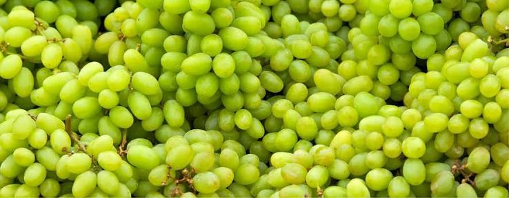 عنب